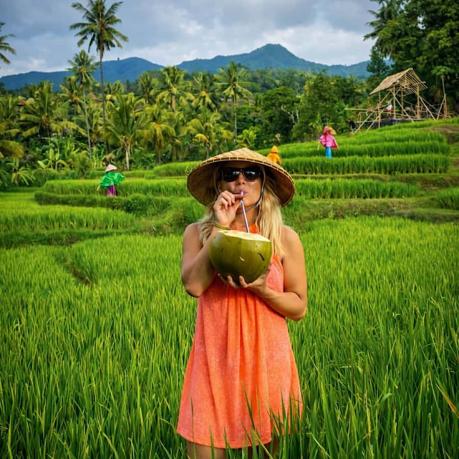 Bali: Full Day North Bali Private Customized Tour - North Bali’s quieter side: waterfalls, temples, and cooler air