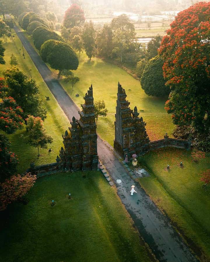 Bali: Full Day North Bali Private Customized Tour - Waterfall day: Sekumpul, Fiji, Banyumala, Aling-Aling, Munduk