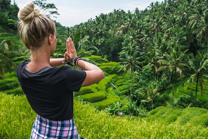 Bali Instagram: Gate of Heaven Temple Tour - Stop 2: Tirta Gangga water palace pools, fountains, and holy spring vibes