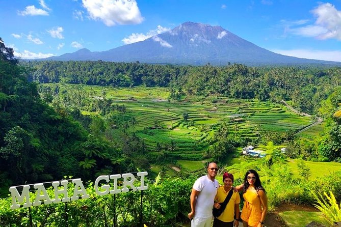 Bali Instagram Tour: The Most Scenic Spots - Stop 4: Tegalalang Rice Terrace Swings and Marsupilami Cage Options