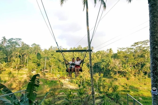 Bali Instagram Tour: The Most Scenic Spots - Price and Value: What $68 Buys in a Full-Day Bali Route