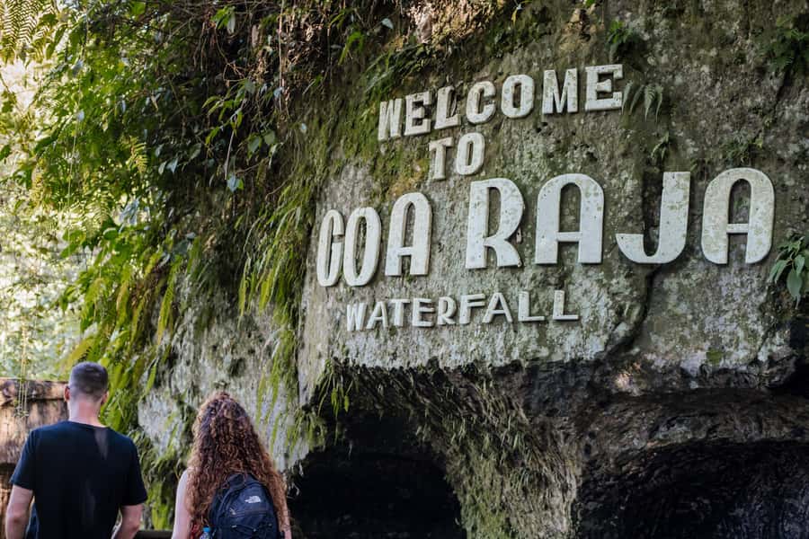 Bali: Lempuyang Quick Access, Waterfall, Water Palace & More - Tirta Gangga Water Palace: calmer photos after the falls