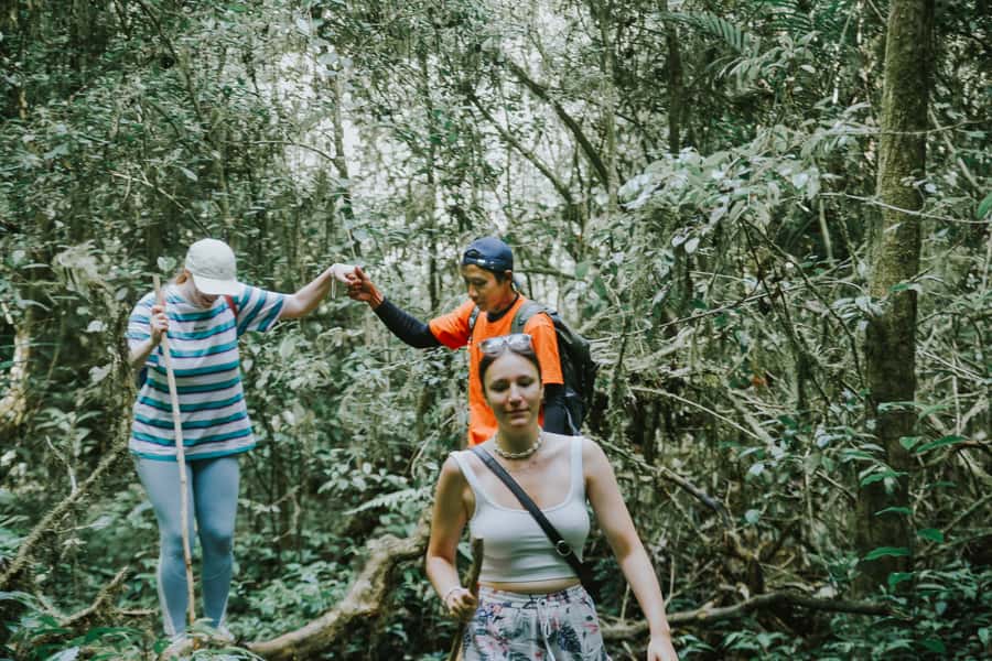 Bali: Munduk Waterfalls Trek, Twin Lakes and Temple Tour - Banyumala Twin Waterfall: Swim Options, Slippery Steps, and Rain Reality