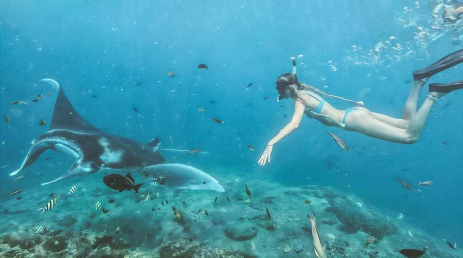 Bali/Nusa Penida: Manta Point Snorkeling & West Coast Tour - Manta Point and Gamat Bay: what makes this snorkel outing special