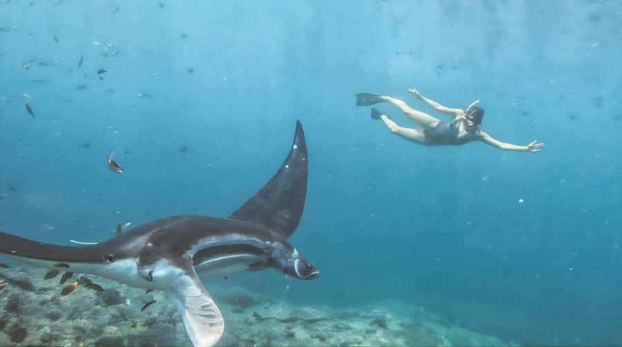 Bali/Nusa Penida: Manta Point Snorkeling & West Coast Tour - Gear, photos, and the GoPro timing you should plan for