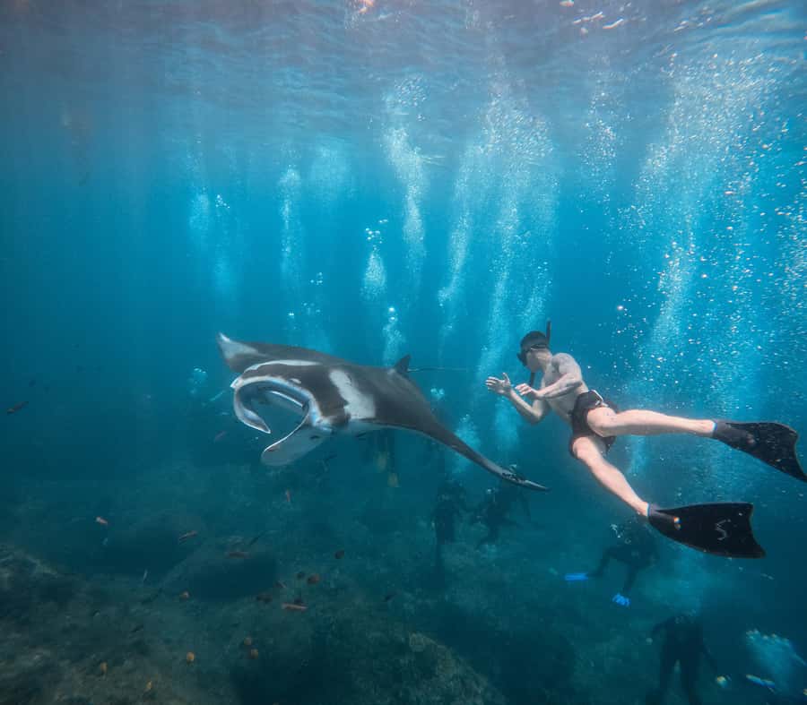 Bali/Nusa Penida: Manta Point Snorkeling & West Coast Tour - Sea sickness and open-water comfort: the make-or-break factor