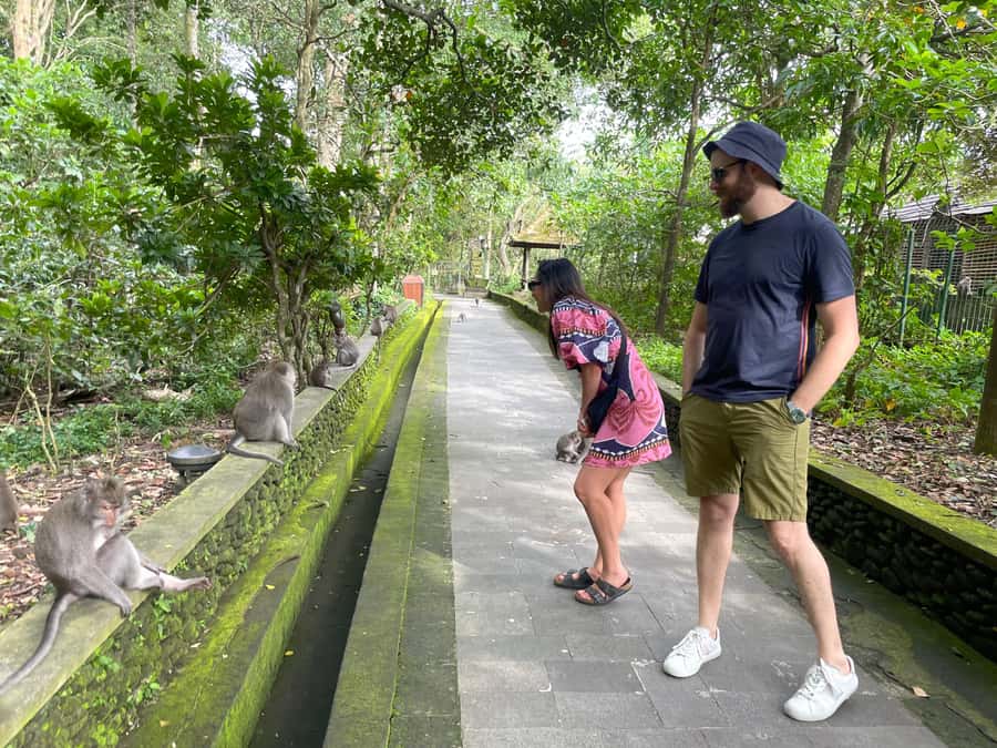 Bali: Private Ubud Highlights Tour with Customized Tour - Price and Value: Why $27 Can Still Feel Like a Big Deal