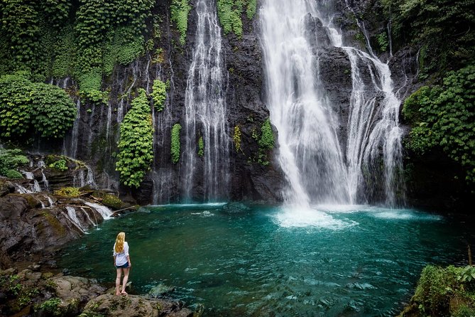 Bali Secret Waterfall Tour - Private and All-Inclusive - Scenic stops beyond the falls: Jatiluwih, Ulun Danu, Ubud, and Monkey Forest