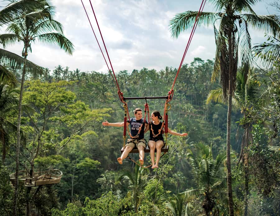 Bali: Swing with Falls, Rice Terrace, & Monkey Forest Option - Rice Terraces at Tegallalang: why the Views Look Like a Postcard