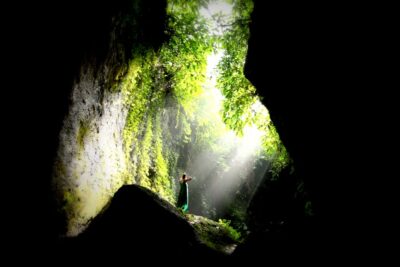 Bali: Swing with Falls, Rice Terrace, & Monkey Forest Option - Kumulilir Coffee Plantation: the Calmer Start Before the Crowds