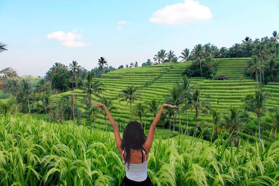 Bali: Tanah Lot, Jatiluwih Terrace, & Ulundanu Beratan Tour - Price and Value: Why $33 Can Work Here