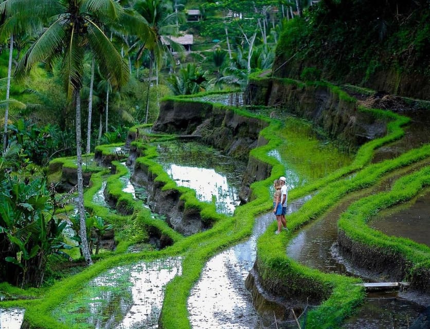 Bali: Tanah Lot, Jatiluwih Terrace, & Ulundanu Beratan Tour - Transportation, Timing, and the Moderate Walking Reality