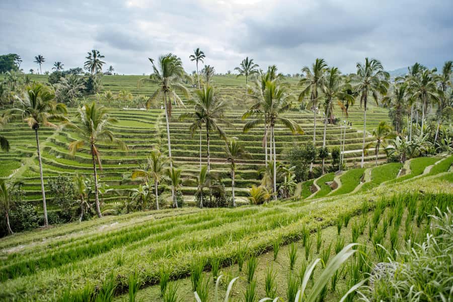 Bali: Tanah Lot UNESCO World Heritage Sites Full-Day Tour - Lake Bratan’s crater views at Ulun Danu Bratan Temple