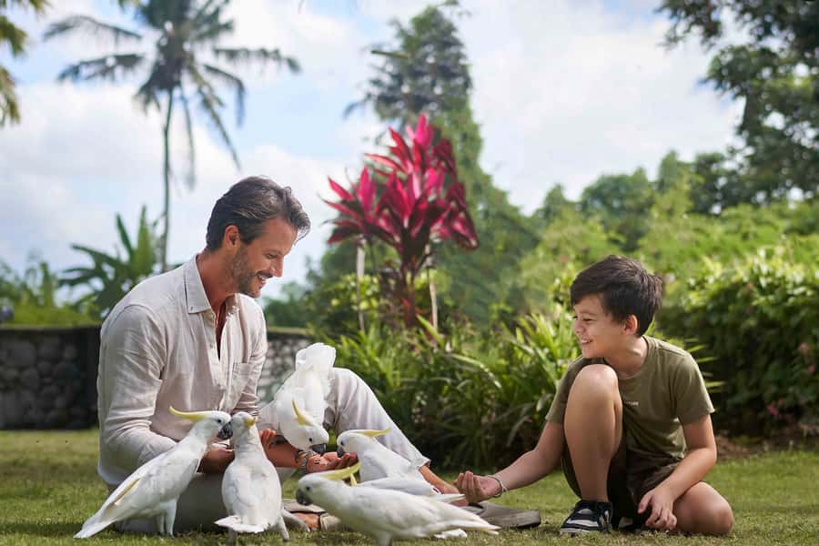 Bali Zoo: Breakfast with the Orangutans - Getting There: Pickup Times, Where You’re Headed, and How to Plan Your Morning