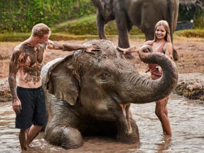 Bali Zoo: Guided Ethical Elephant Care Experience - Mud spa play: the part most people remember