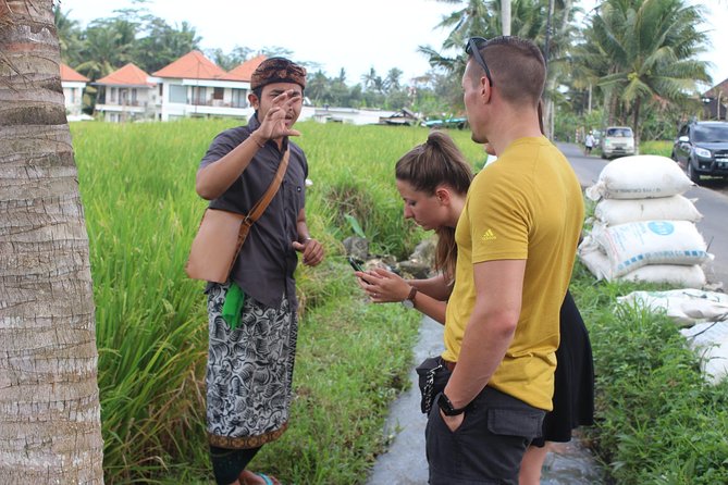 Balinese Ubud cooking school (9 Dish Cooking and Market Tour) - Who should book this (and who might want a different class)