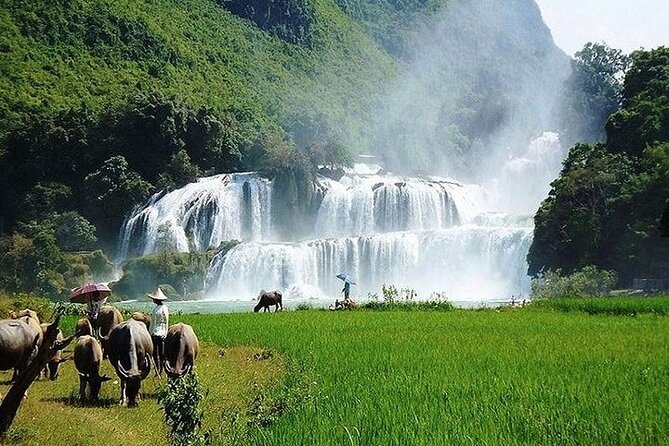Ban Gioc Waterfall 2 Days 1 Night From Hanoi - Ban Gioc Waterfall and Detian Falls: timing, boating, and photo strategy