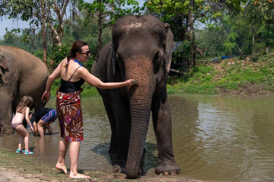 Bangkok: Elephant Sanctuary & Erawan Waterfall Tour - Key highlights at a glance