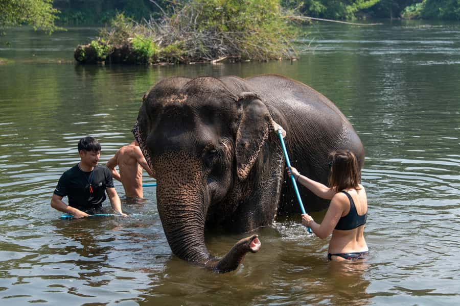 Bangkok: Elephant Sanctuary & Erawan Waterfall Tour - Erawan National Park: seven tiers, caves, and choosing your swim level