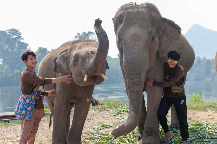 Bangkok: Elephant Sanctuary & Erawan Waterfall Tour - What to pack for elephants and waterfall water