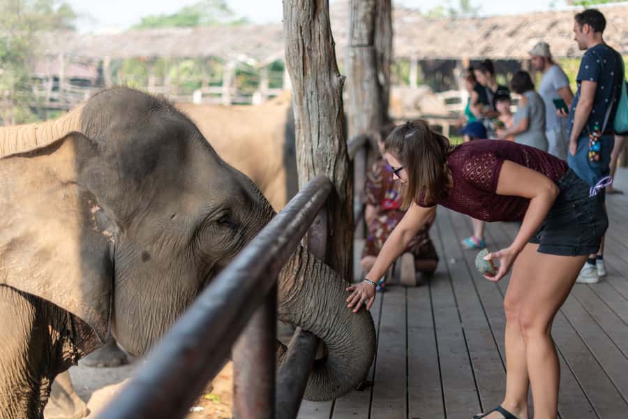 Bangkok: Elephant Sanctuary & Erawan Waterfall Tour - Who this tour is best for (and who should skip it)