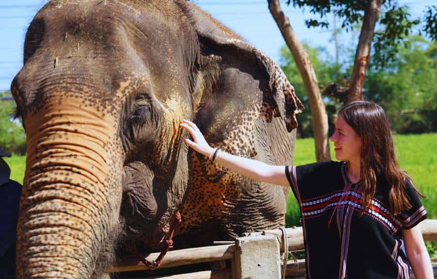 Bangkok: Ethical Elephant Care Half-Day with Transfers - Entering Bangkok Elephant Park the ethical way