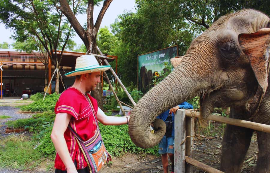 Bangkok: Ethical Elephant Care Half-Day with Transfers - Hotel pickup and the real logistics of a 6–7 hour day