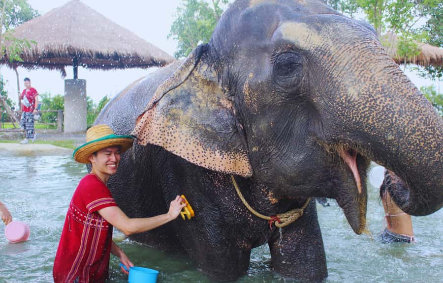 Bangkok: Ethical Elephant Care Half-Day with Transfers - Mud spa, warm water, and what to wear