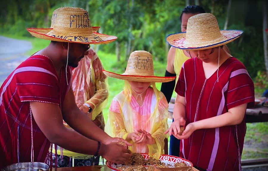Bangkok: Ethical Elephant Care Half-Day with Transfers - Lunch, welcome drink, and how the $84 value adds up