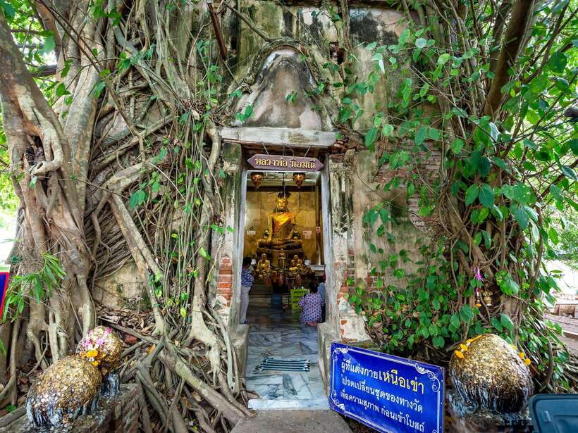 Bangkok: Maeklong Railway & Amphawa Floating Market Day Trip - Should You Book Bangkok: Maeklong Railway & Amphawa Floating Market Day Trip?