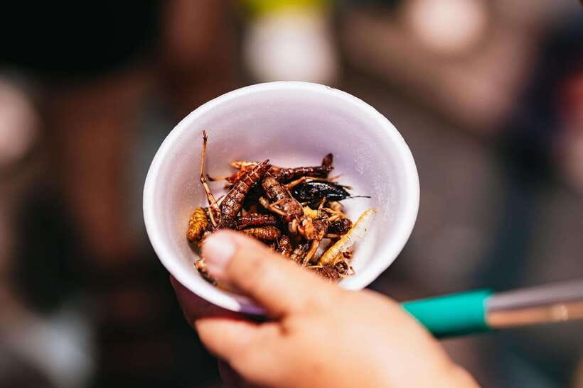 Bangkok: Michelin Guide Street Food Tour by Tuk Tuk - Optional Jay Fai (Bib Gourmand) and Teens of Thailand: choose your own wait