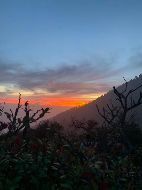 Banyuwangi/Bali: Ijen Volcano Midnight Blue Fire Guided Tour - What You Get Included (and What You Must Bring)