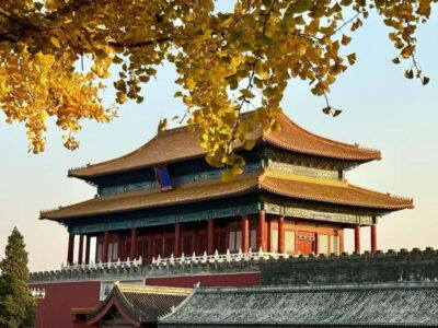 Beijing: The Forbidden City or Tiananmen Square Entry Ticket - Morning vs afternoon: picking the right time slot for crowds and comfort