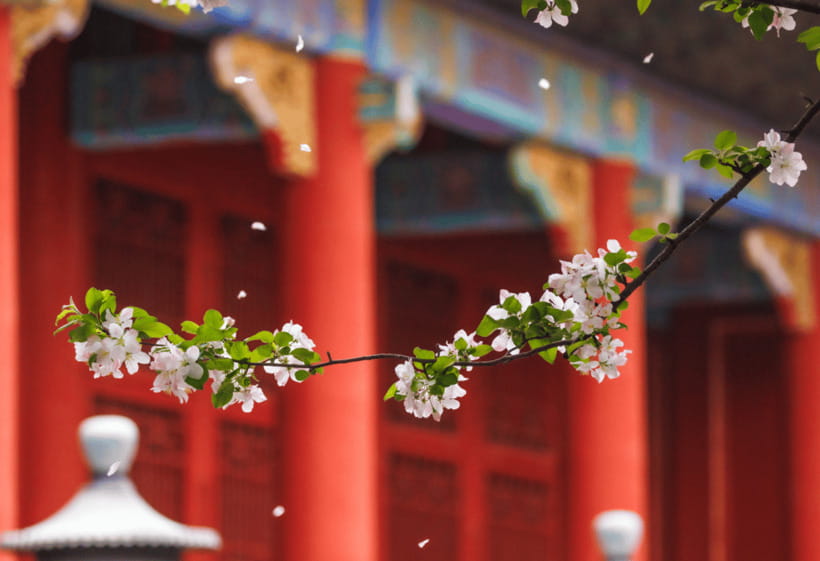 Beijing: Tiananmen Square and Forbidden City Entry Tickets - Hutong plus local snacks: seeing everyday Beijing after the big monuments