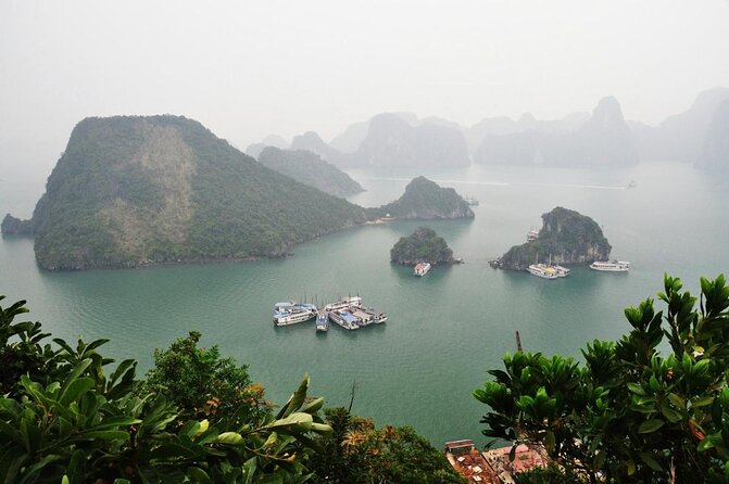 Best Halong 5 star Day Trip, inclusive,buffet,cave,kayak,transfer - Key Things To Know Before You Go