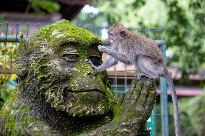 Best of Bali 3-Day Packaged Tour - Day 1 in Ubud: Monkey Forest, Tegalalang Rice Terraces, Tirta Empul and the Jungle Swing