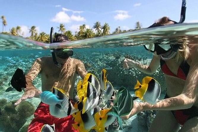 Blue Lagoon Snorkeling - Lunch - Kantolampo - Tibumana Waterfall - Lunch and the car ride: why “driver quality” matters a lot here