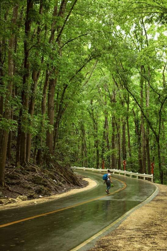 Bohol: Premium Chocolate Hills, Tarsiers & River Experience - Chocolate Hills Viewpoints: Photos and Timing Without the Guesswork