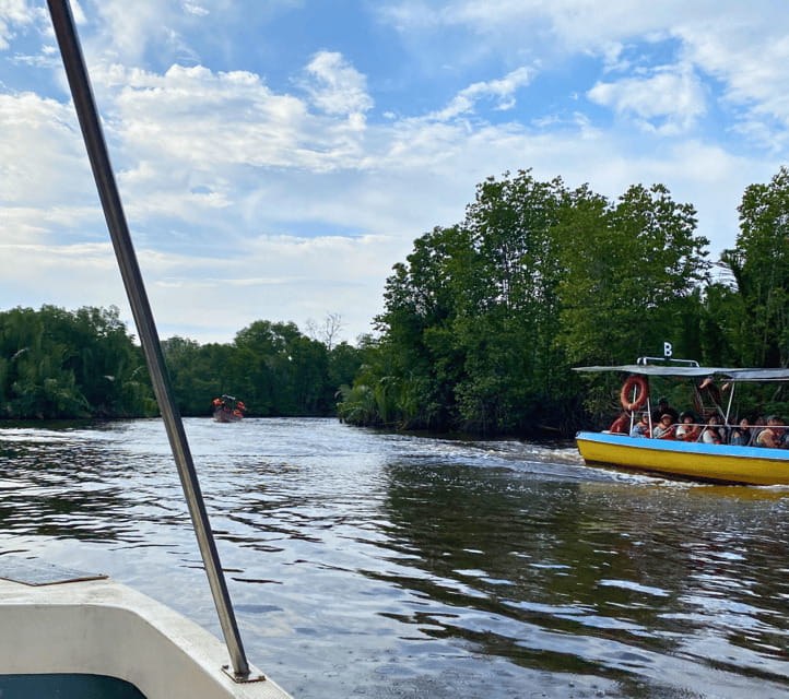 Bongawan River Cruise: Proboscis Monkey & Fireflies Mangrove - Pickup timing and how the day flows without feeling chaotic