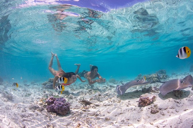Bora Bora Eco Snorkel Cruise Including Snorkeling with Sharks and Stingrays - Stop 1: the shallow lagoon search for sharks and stingrays