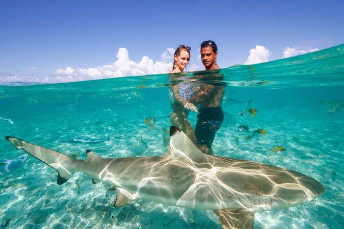 Bora Bora Eco Snorkel Cruise Including Snorkeling with Sharks and Stingrays - Guides, group size, and the vibe on the water