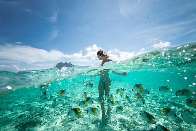 Bora Bora Eco Snorkel Cruise Including Snorkeling with Sharks and Stingrays - Best fit: who this tour suits (and who should adjust expectations)