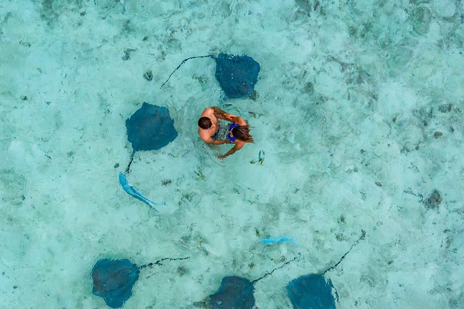 Bora Bora Eco Snorkel Cruise Including Snorkeling with Sharks and Stingrays - Stop 2: Coral Garden snorkeling for color, clams, and reef fish