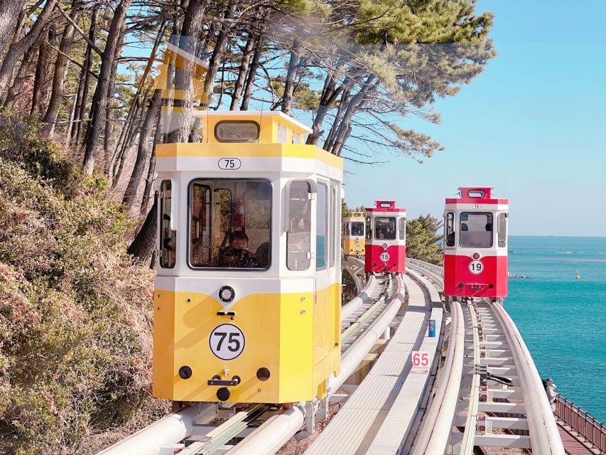 Busan: Must Visit Spots with opt Guaranteed Sky Capsule Tour - Transfers, pacing, and how the long day really feels