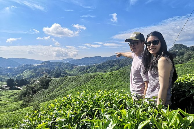 Cameron Highland Best Day Tour from Ipoh with Lunch ( Day Trip) - Price and what’s truly included at $120