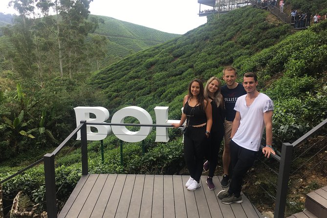 Cameron Highland Best Day Tour from Ipoh with Lunch ( Day Trip) - BOH Tea Centre at Sungei Palas: tea factory + photo-ready views