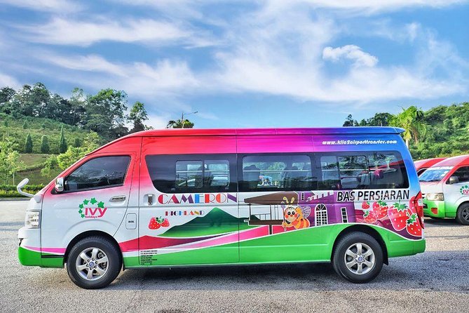 Cameron Highlands with Lunch Guided Day Tour (SIC/Shared Tour) - Cameron Highlands from Kuala Lumpur: the real feel of a 12-hour shared day