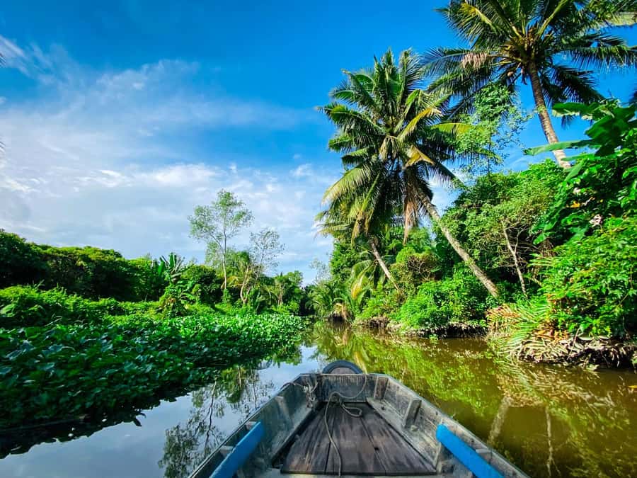Can Tho: A Real Mekong Tour, Floating Market, Cacao & Life's - Fruit garden tasting: education that ends with real flavor