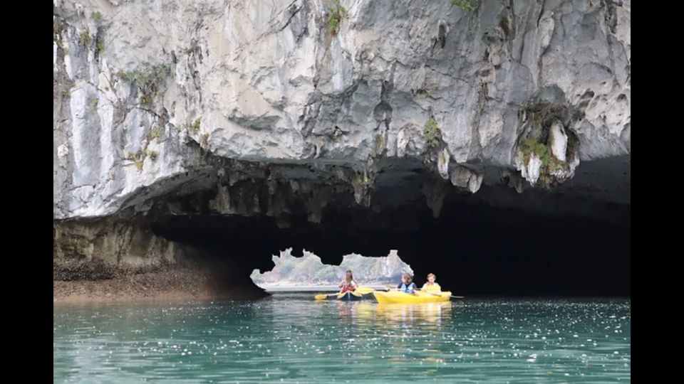 Cat Ba: Lan Ha & Ha Long Bay Kayak & Snorkel Boat Tour - Golden hour cruise back: fisher village views before the return