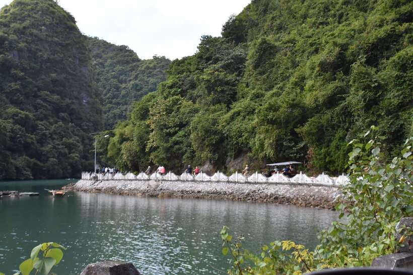 Cat Ba: Lan Ha, HaLong bay full day- biking, kayaking, lunch - Fish massage: the cultural oddball you either love or laugh through